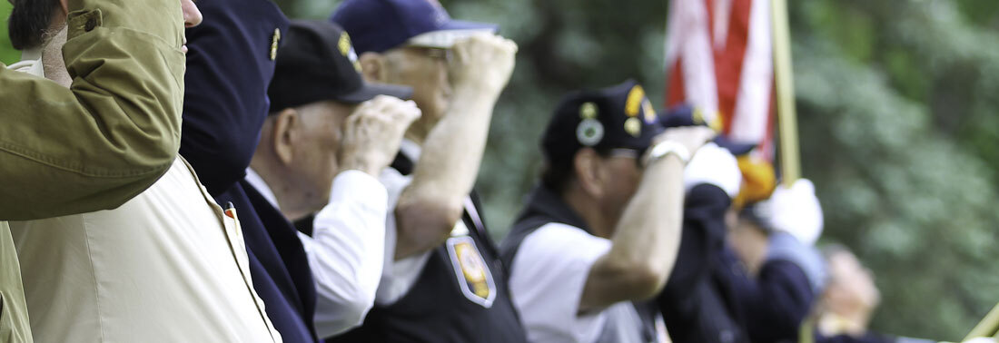 protecting-our-veterans protecting-our-veterans